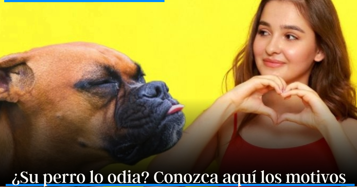 Según la ciencia hay cosas que tu perro odia de ti y que aún no sabes